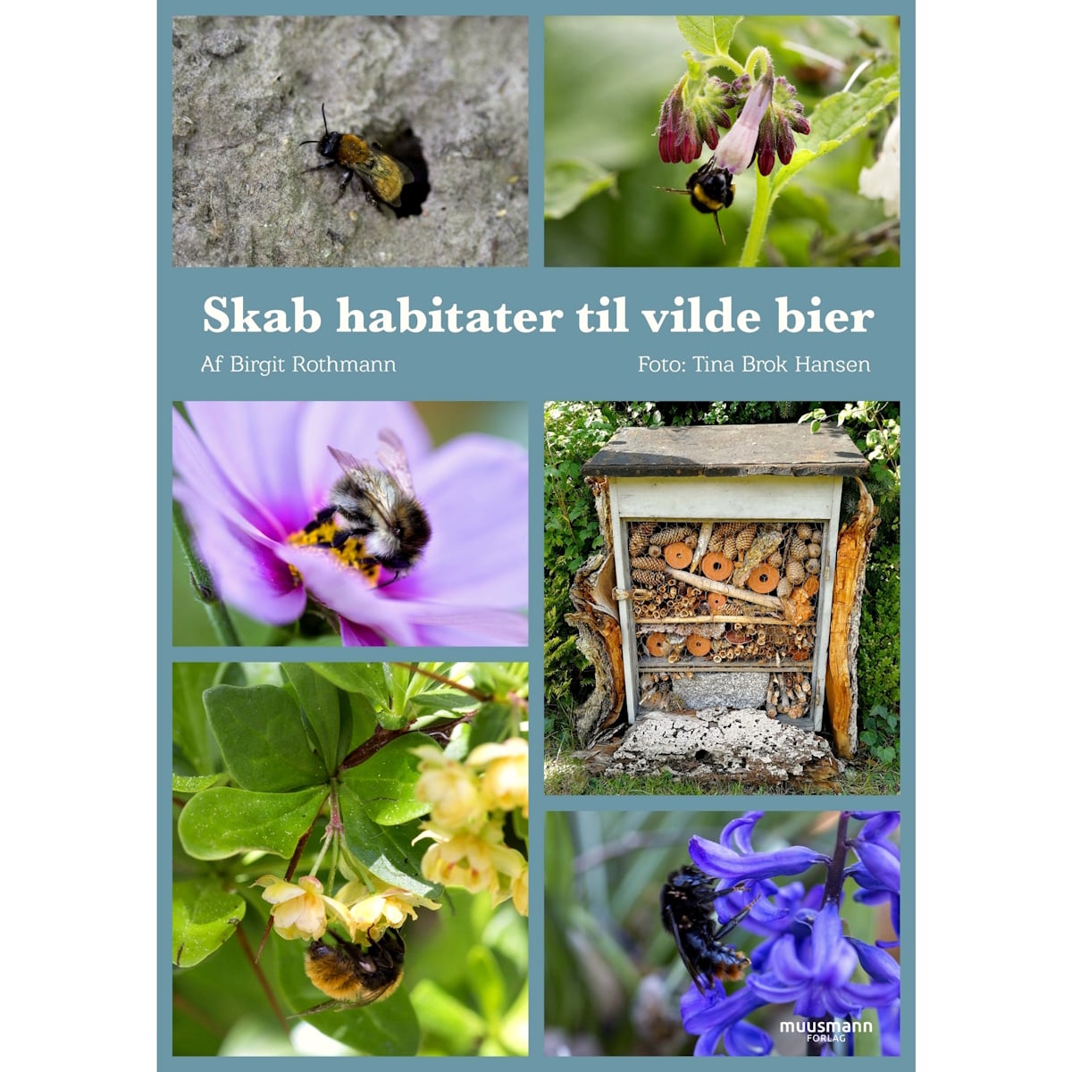 Forsidebillede af bogen Skab habitater til vilde bier af Birgit Rothmann, hardback
